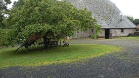 Arbre ancien et la grange